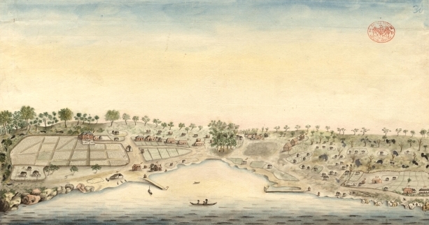Port Jackson Painter, fl. 1788-1792., Public domain, via Wikimedia Commons